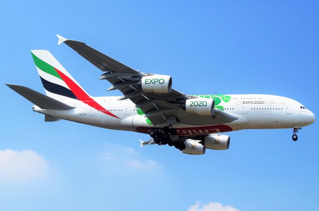 Airbus A380-800 (A6-EDW)