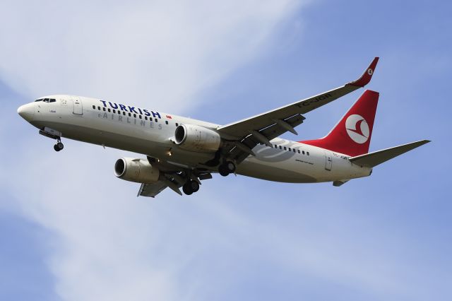 Boeing 737-800 (TC-JGR)