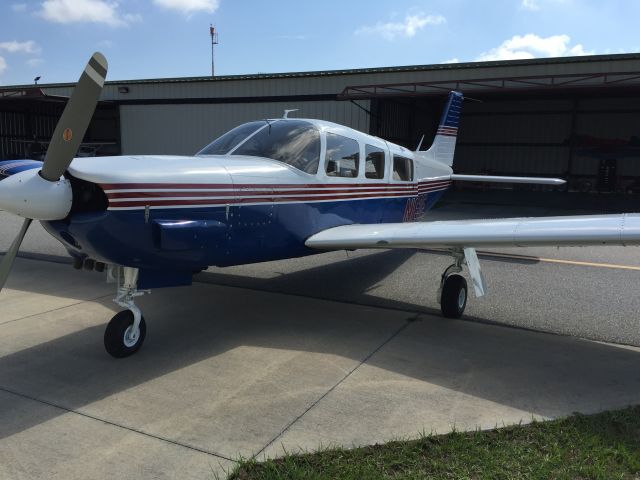 Piper Saratoga/Lance (N8743E) - Just back from Hawk Aircraft Painting KVDF