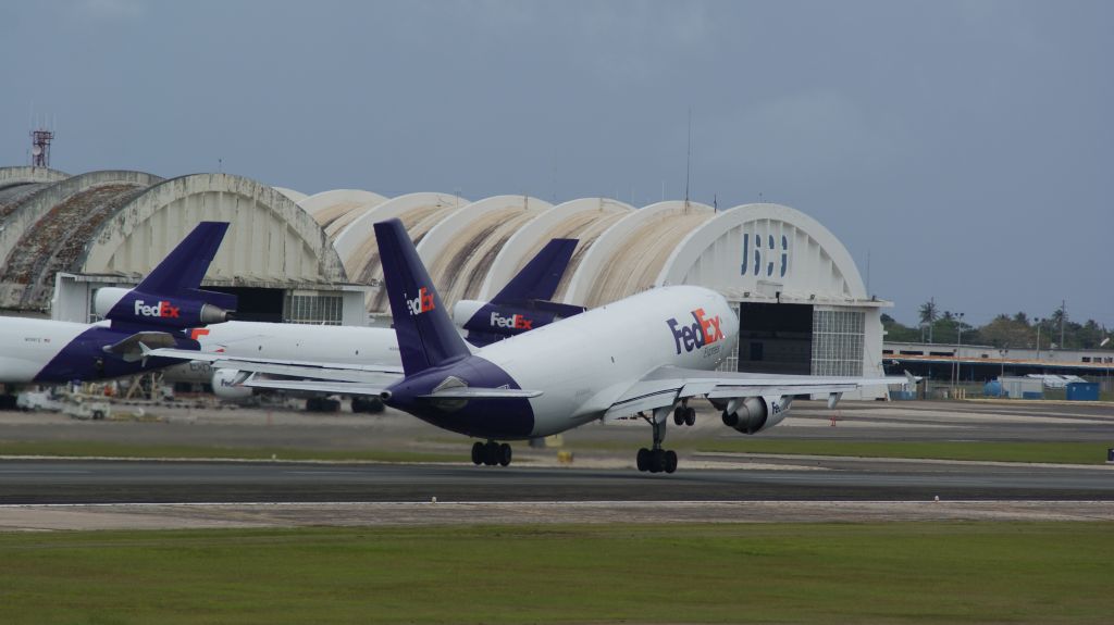 Airbus A310 (N813FD)