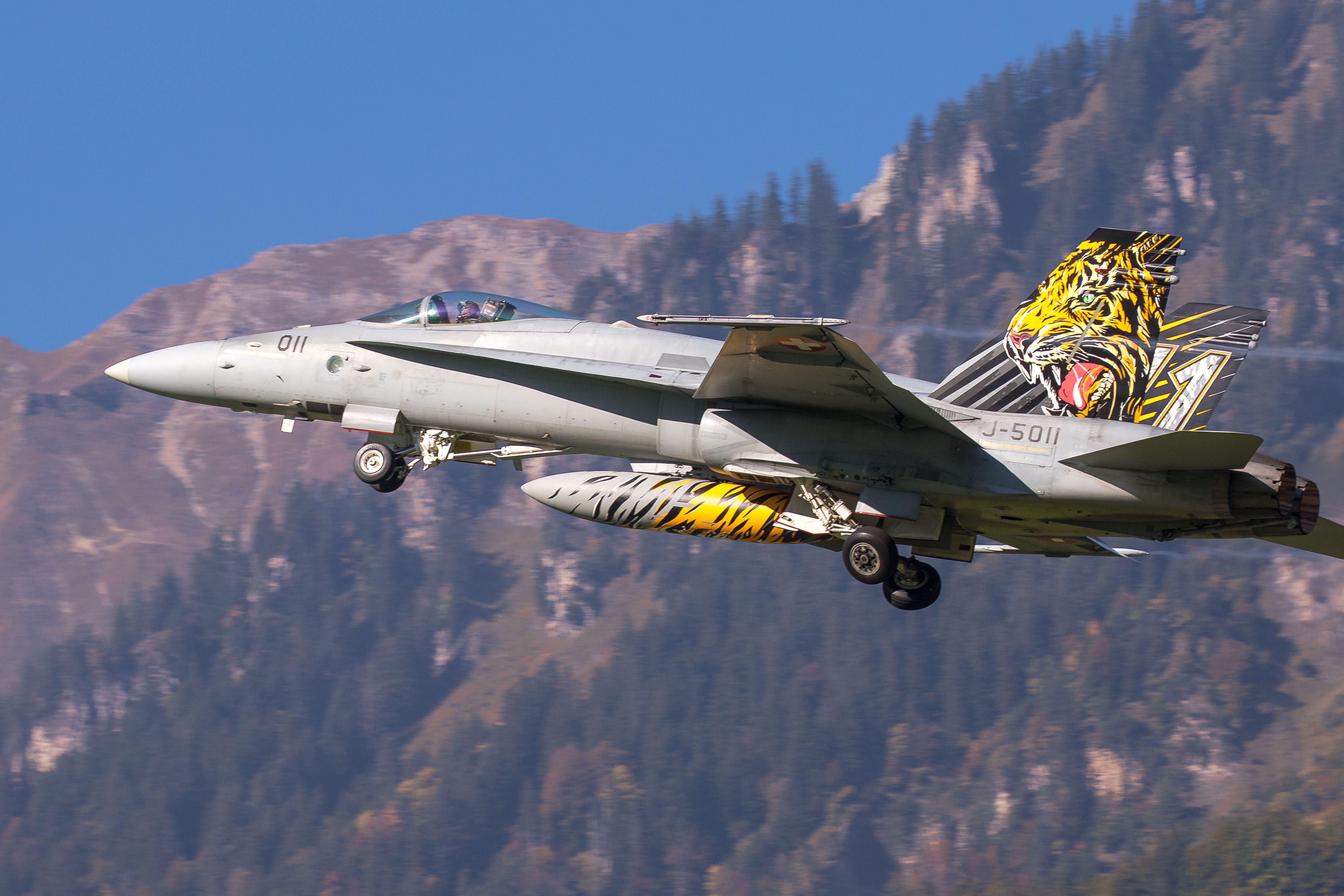 McDonnell Douglas FA-18 Hornet (J5011) - Swiss Air Forcebr /Boeing F/A-18 C (J-5011) at Meiringen Airbase