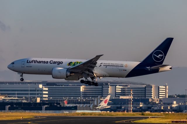 Boeing 777-200 (D-ALFI)