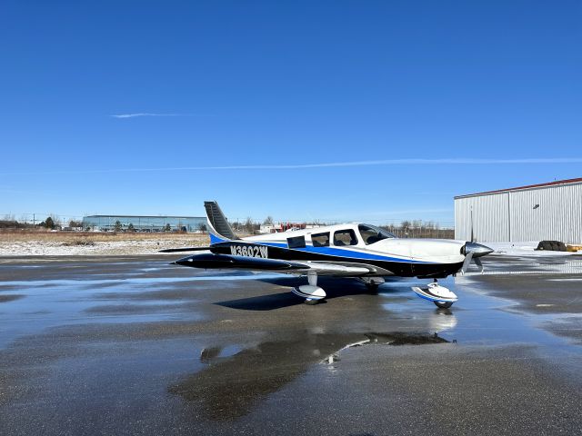 Piper Saratoga (N3602W) - Flying hime from the paint shop