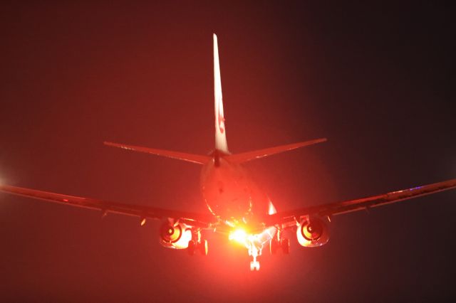 Boeing 737-800 (JA306J) - January 25th 2019:HND-HKD.