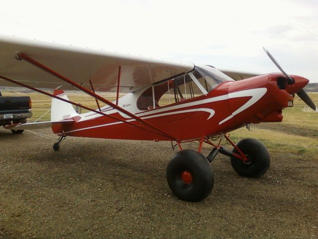 Piper L-21 Super Cub (N2359P)