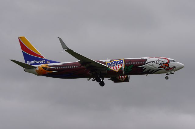 Boeing 737-800 (N8619F)