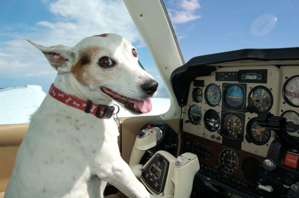 Beechcraft 55 Baron (N828M) - will fly for food