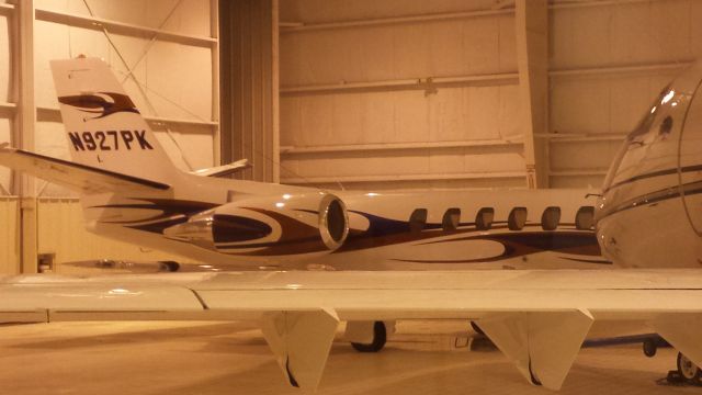 Cessna Citation V (N927PK) - In McKinley fbo... talk about a flamboyant paint job!