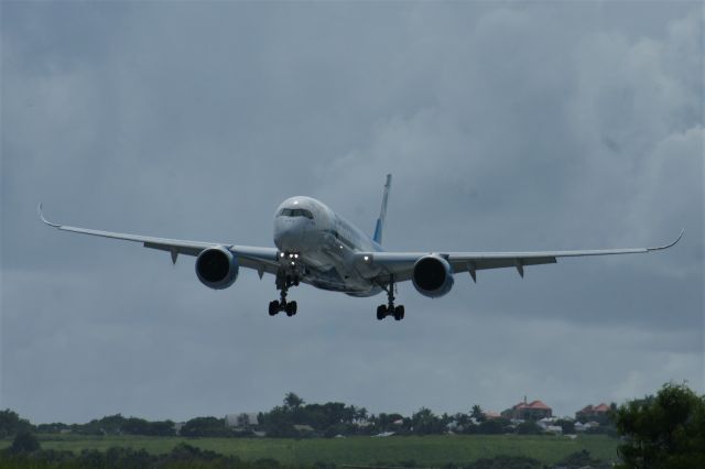 Airbus A350-900 (F-HREV)