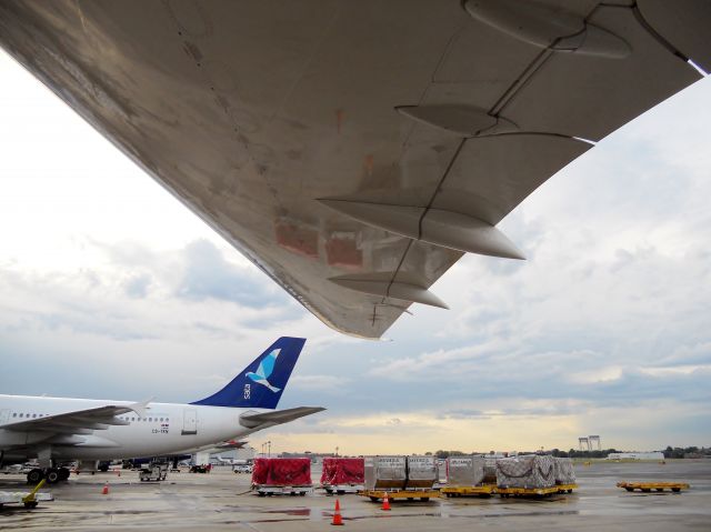 Airbus A310 (CS-TKN)