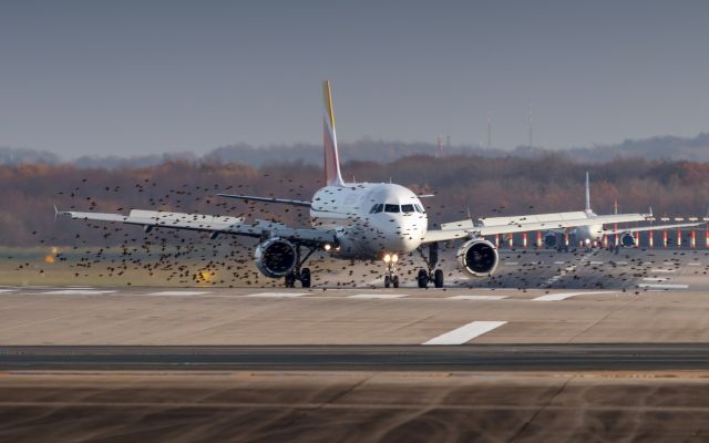 Airbus A319 (EC-KMD)