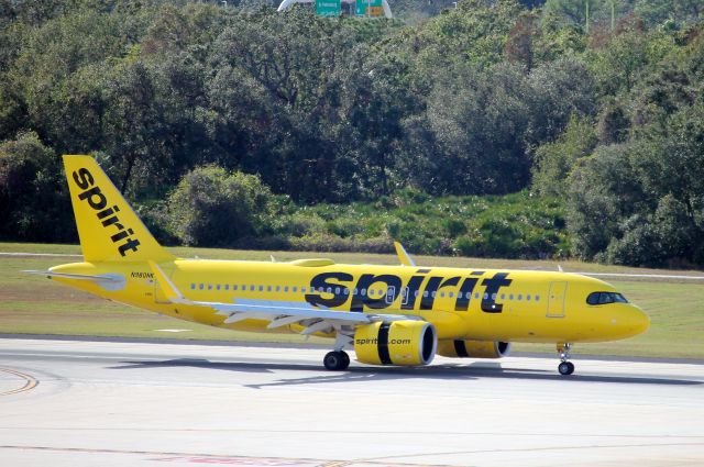 Airbus A320neo (N980NK) - Spirit Flight 3126 arrives on Runway 1L at Tampa International Airport following flight from Houston-Bush Intercontinental Airport