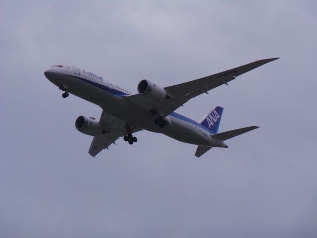 Boeing 787-8 (JA840A) - 2015/08/29 NH853(HND-TSA) B787-8 JA840A