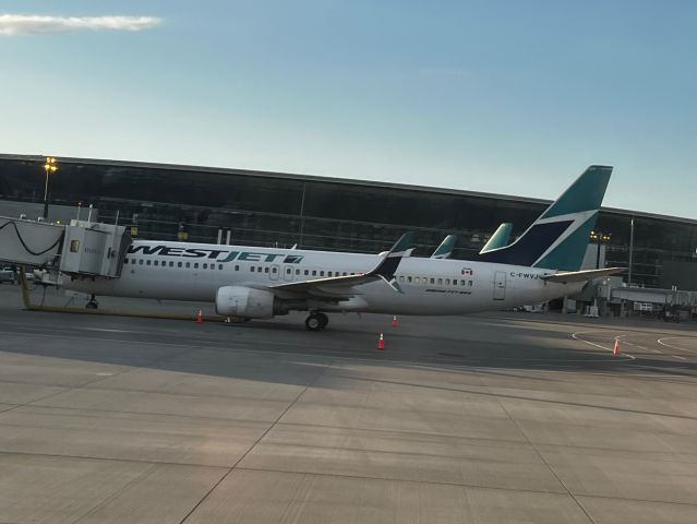 Boeing 737-800 (C-FWVJ) - I was inside another plane when I took this picture.
