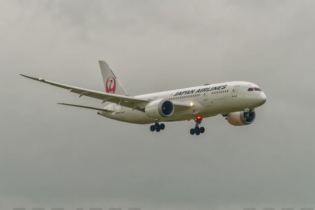 Boeing 787-8 (JA842J)