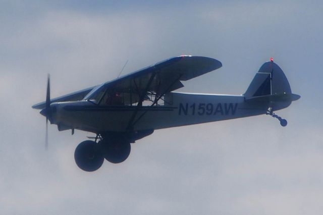 Piper L-21 Super Cub (N159AW)