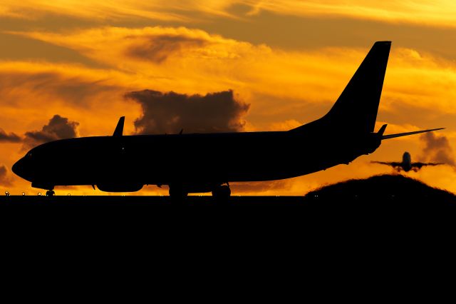 Boeing 737-800 (EI-DCM) - Tenerife Sur - Reina Sofia (TFS / GCTS) - Spainbr /br /Photo taken: February 11, 2023br /br /Operator: Ryanairbr /Type: Boeing 737-8ASbr /Registration: EI-DCMbr /Serial: 33807/1578