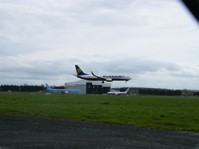 Boeing 737-800 (EI-DCX)