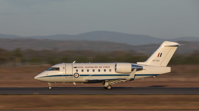 Canadair Challenger (A37003)