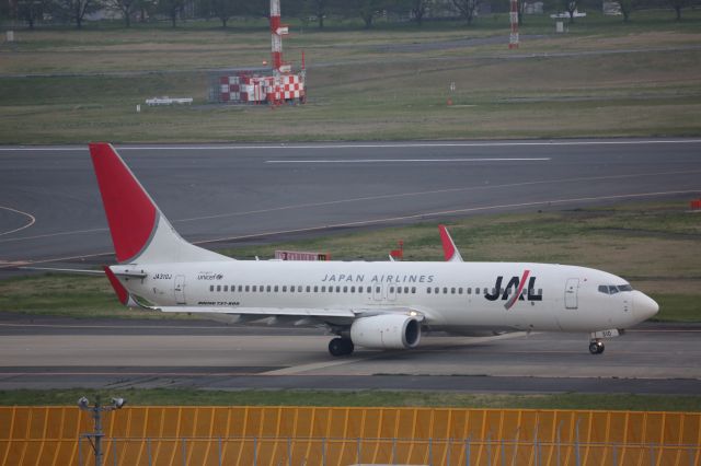 Boeing 737-800 (JA310J)