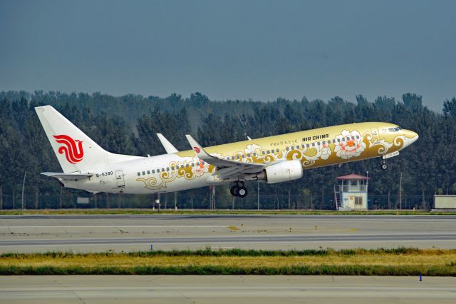 Boeing 737-800 (B-5390)