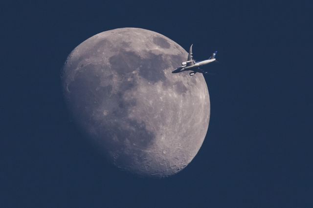 Boeing 787-8 (JA824A) - JA-824A ✈ 09-Jun-2014 ✈ RJFF / FUK - RJTT / HNDbr /18:45(JST) 553KTS 37,500feet