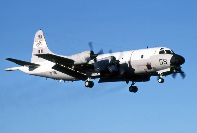 A9758 — - AUSTRALIA - AIR FORCE - LOCKHEED P-3C ORION - REG A9-758 / 58 (CN 285D-5672) - EDINBURGH RAAF BASE ADELAIDE SA. AUSTRALIA - YPED 16/3/1983