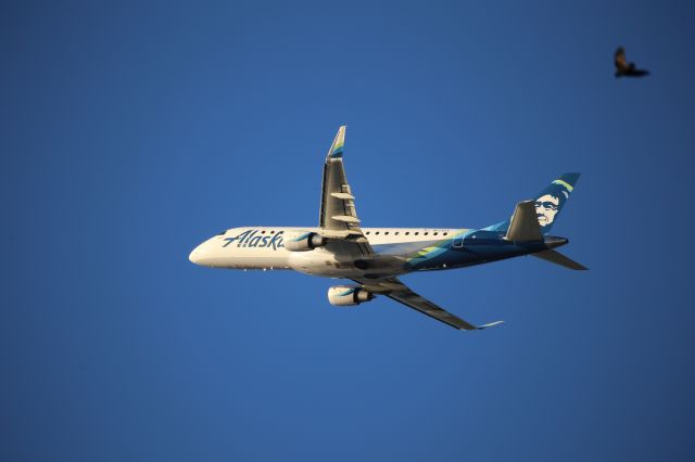 EMBRAER 175 (long wing) (N173SY)