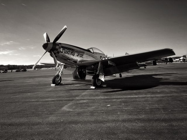 North American P-51 Mustang — - P-51 "Swamp Fox" at Warbirds Over Monroe, North Carolina