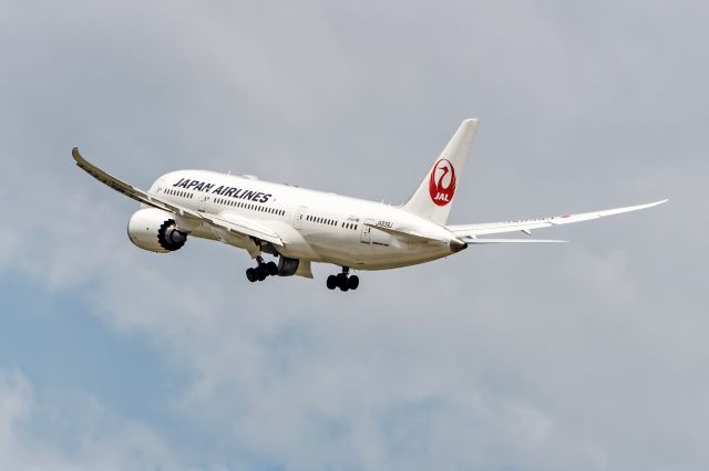 Boeing 787-8 (JA839J)