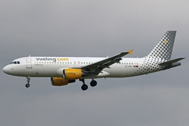Airbus A320 (EC-HGZ)