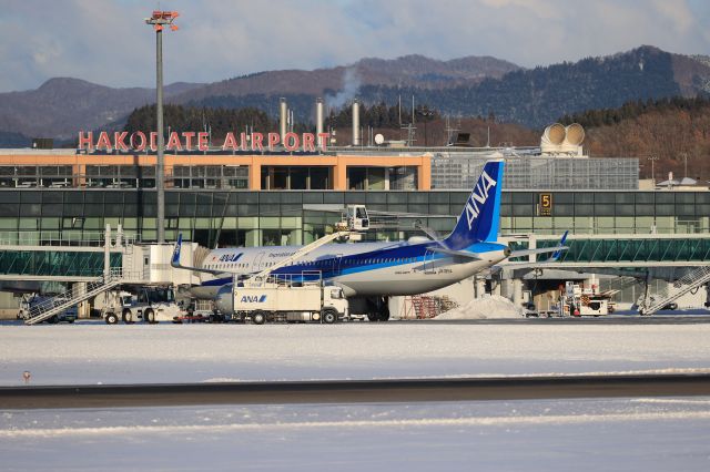 Airbus A321 (JA135A) - December 20th 2020: