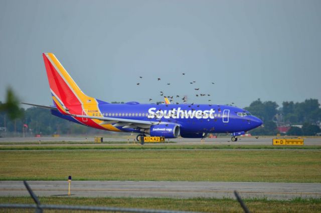 Boeing 737-700 (N426WN) - C rob bennett