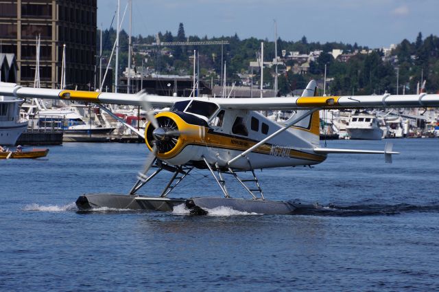 De Havilland Canada DHC-2 Mk1 Beaver (N6781L)