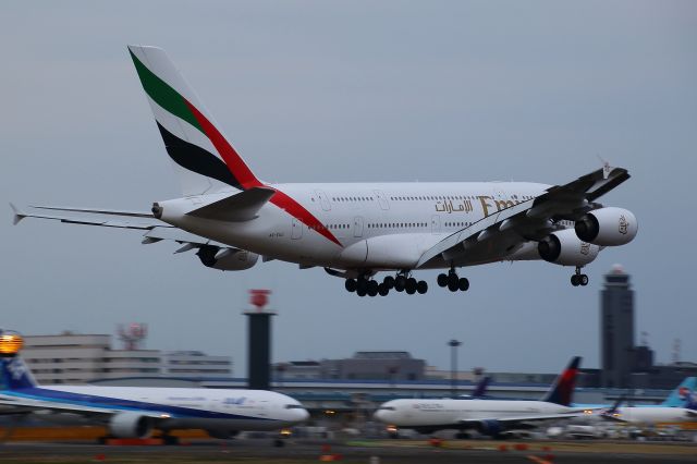 Airbus A380-800 (A6-EDO)