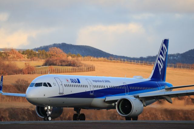 Airbus A321 (JA132A) - January 4th 2018:HKD-HND.