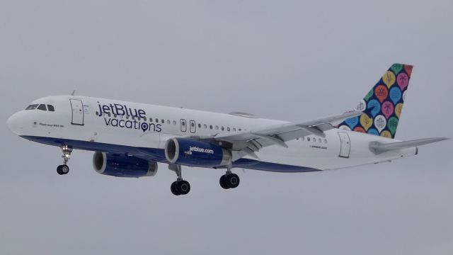 Airbus A320 (N648JB) - “Vacations” Livery landing at KBUF via Rnwy 5!