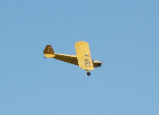 Piper L-21 Super Cub (N4693S)