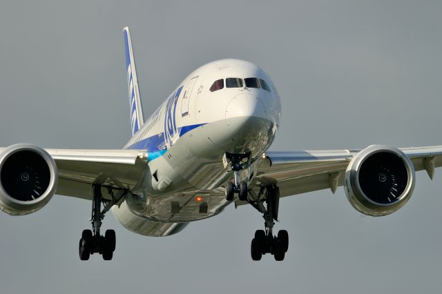 Boeing 787-8 (JA812A)