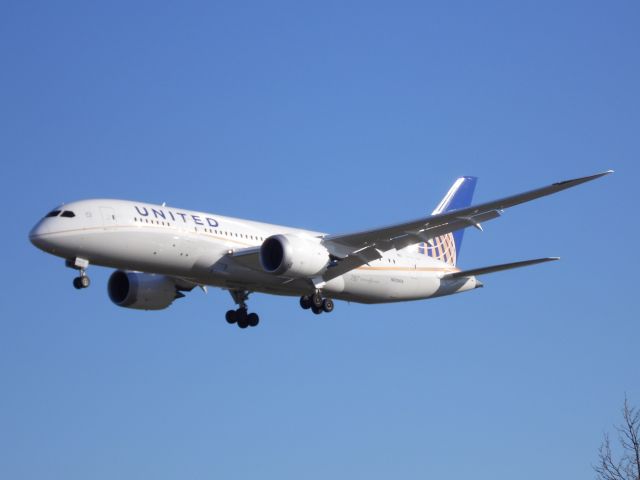 Boeing 787-8 (N20904) - Standing at the Proud Bird Resturant where Uniteds B788 Flew in at 9:00am