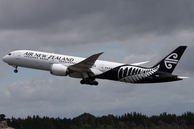 Boeing 787-9 Dreamliner (ZK-NZD) - on 4 January 2020