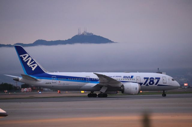 Boeing 787-8 (JA817A) - July 18th 2019:HND-HKD.