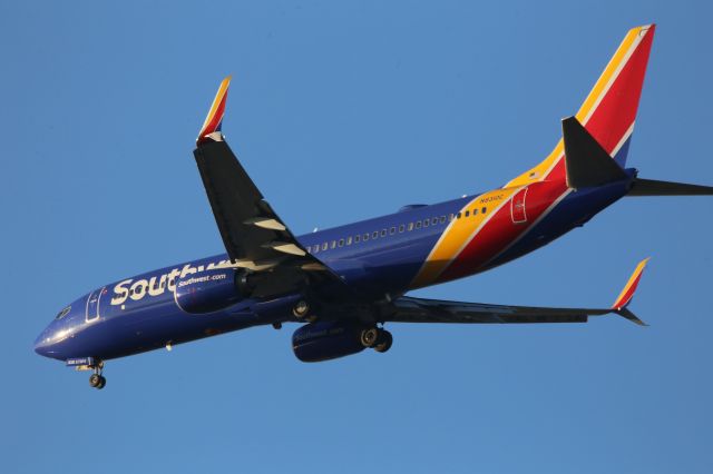 Boeing 737-800 (N8310C)