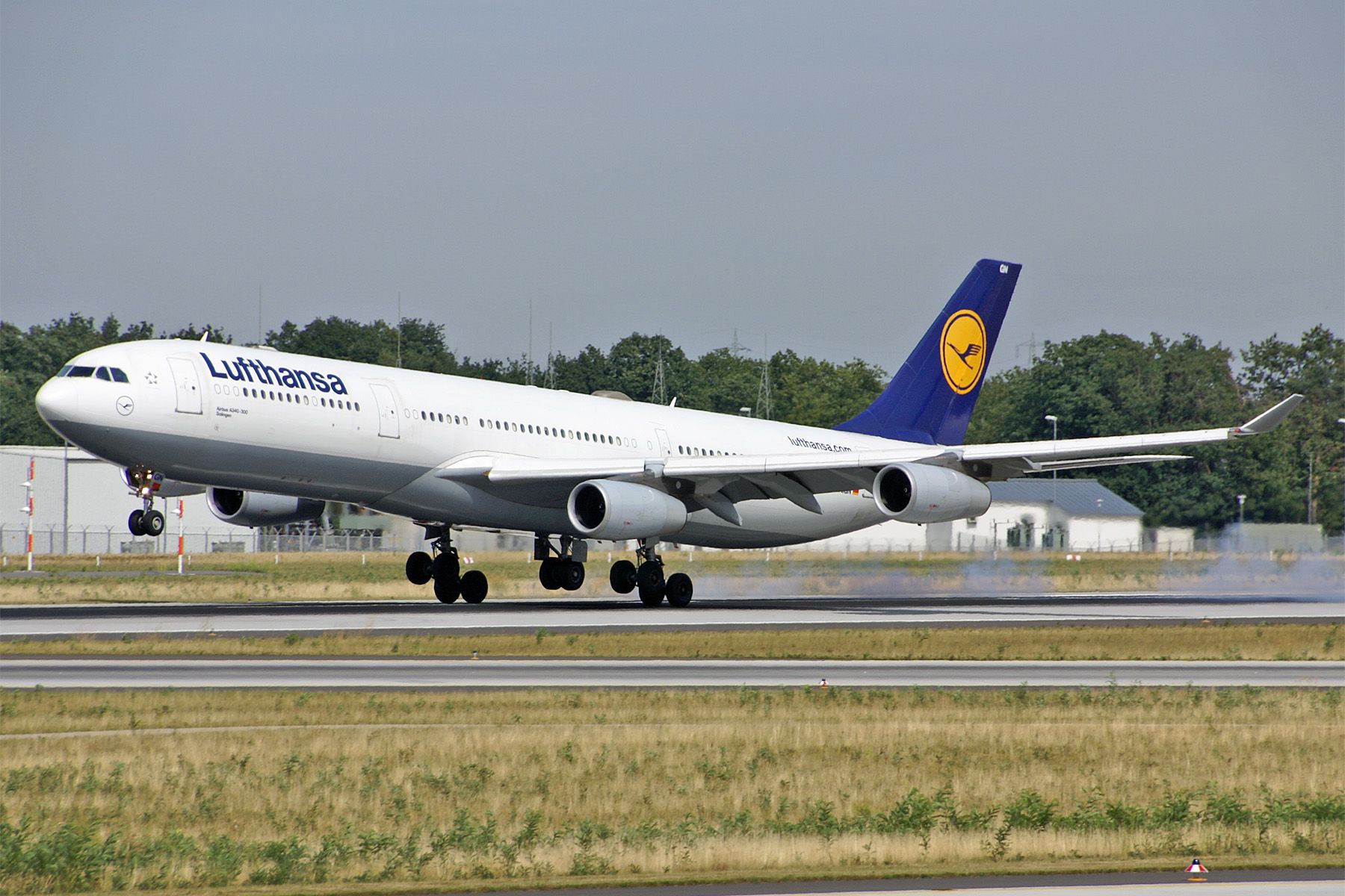 Airbus A340-300 (D-AIGN)