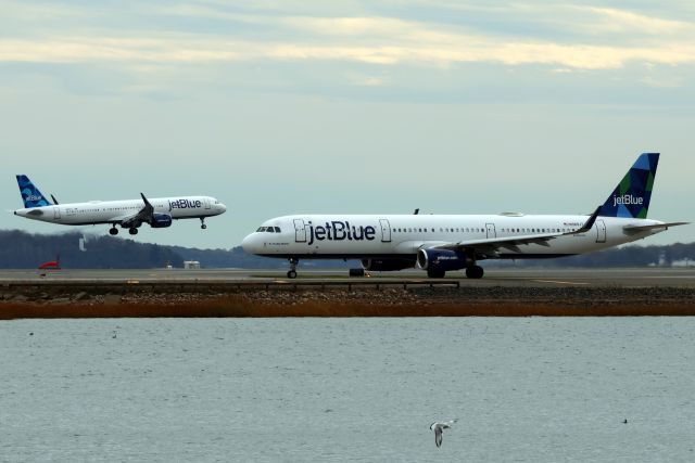 Airbus A321 (N989JT) - One Jet Blue departing while another arrives. 