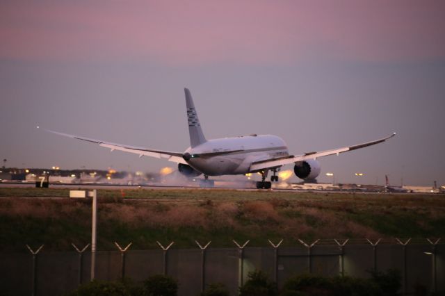 Boeing 787-8 (JA824J)