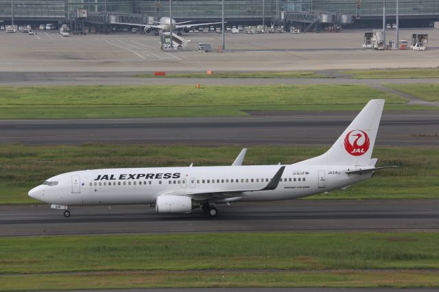 Boeing 737-800 (JA316J)