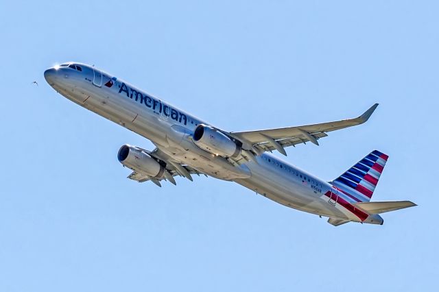 Airbus A321 (N156AN) - Bird off the nose of the aircraft, hard to say how close it was, didnt see it when I took the picture