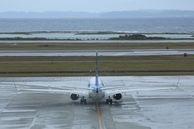 Boeing 737-800 (JA65AN)