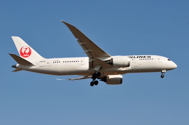 Boeing 787-8 (JA829J) - 2015/1/11